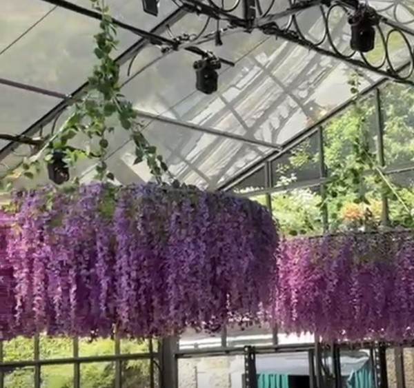 Wisteria-Lüster, flieder (Durchm. 270cm)